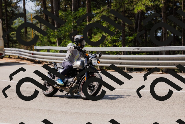 202508161114-_04A0567_c3