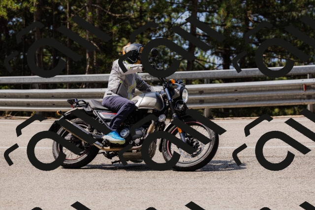 202508161114-_04A0568_c3