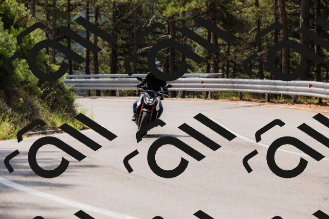 202508161114-_04A0570_c3