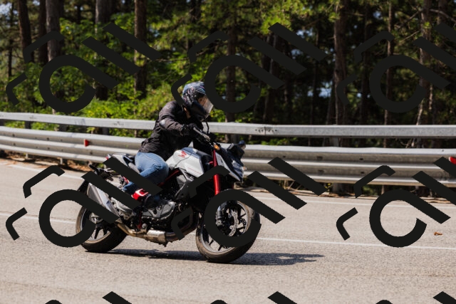 202508161114-_04A0571_c3