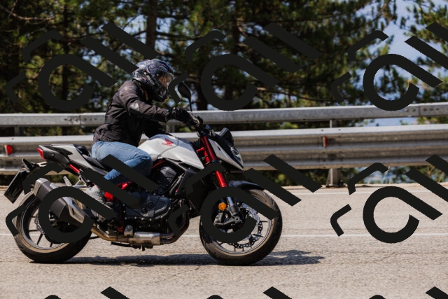 202508161114-_04A0572_c3