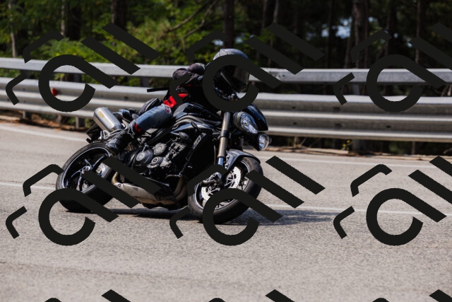 202508161115-_04A0582_c3