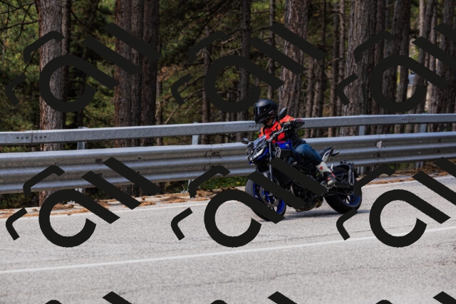 202508161115-_04A0585_c3