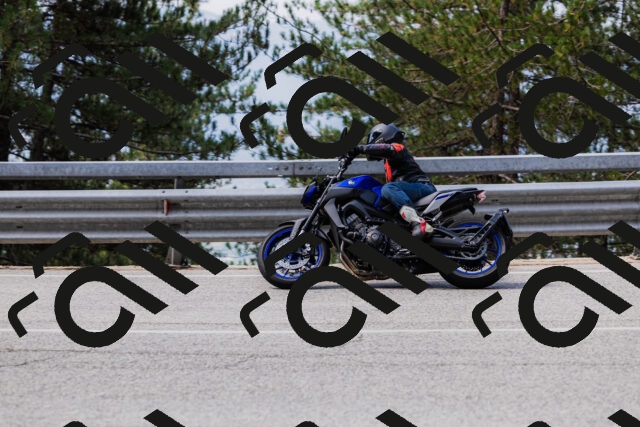 202508161115-_04A0586_c3