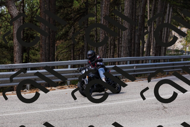 202508161116-_04A0590_c3