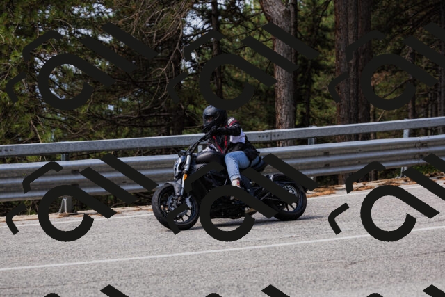 202508161116-_04A0591_c3