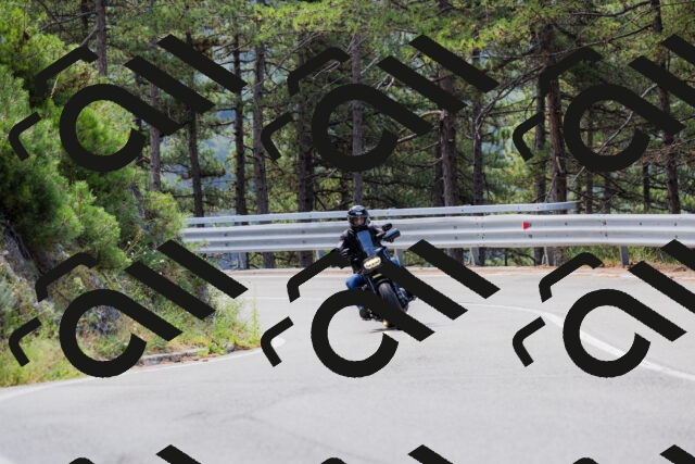 202508161116-_04A0595_c3