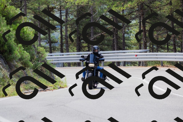 202508161116-_04A0596_c3