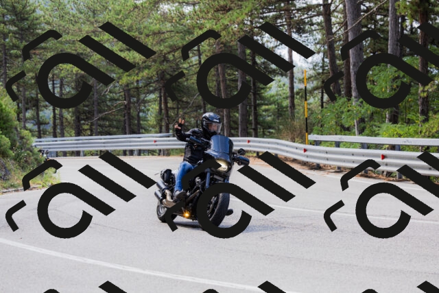 202508161116-_04A0597_c3