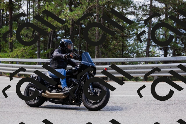 202508161116-_04A0599_c3