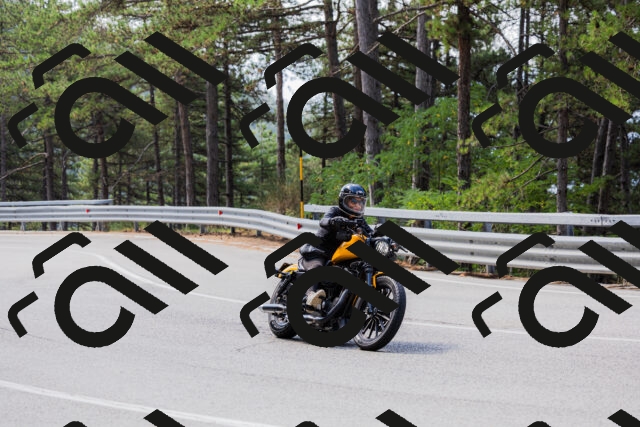 202508161116-_04A0600_c3