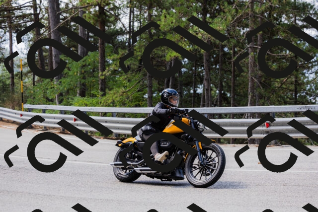 202508161116-_04A0601_c3