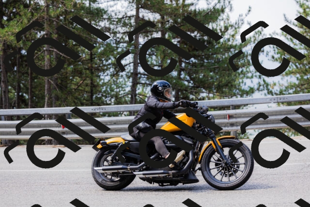 202508161116-_04A0602_c3