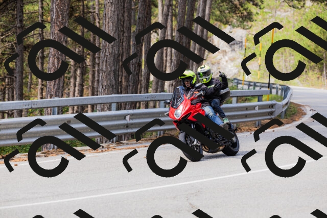 202508161117-_04A0608_c3