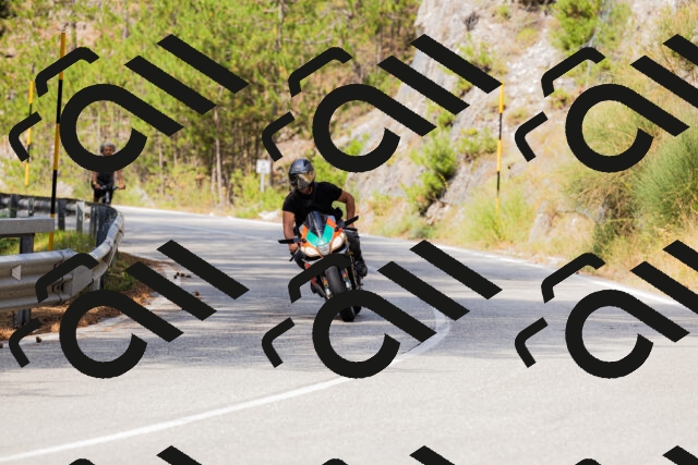 202508161118-_04A0611_c3