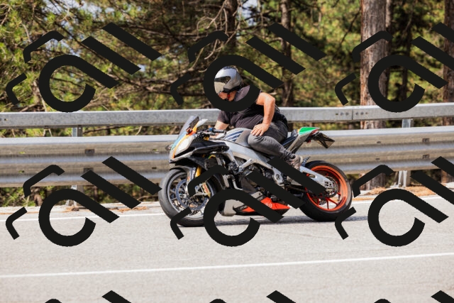 202508161118-_04A0613_c3