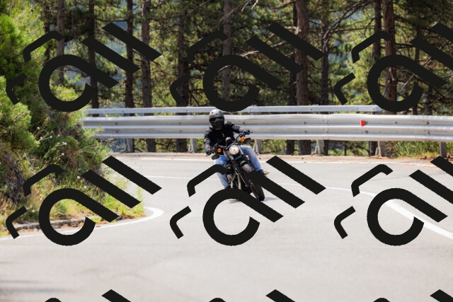 202508161118-_04A0615_c3