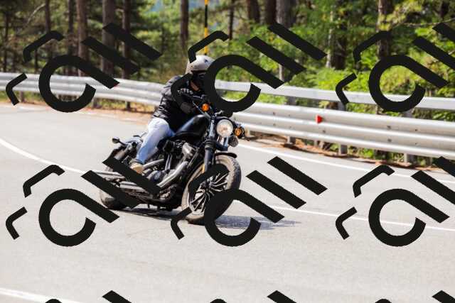 202508161118-_04A0617_c3