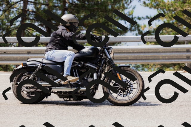 202508161118-_04A0619_c3