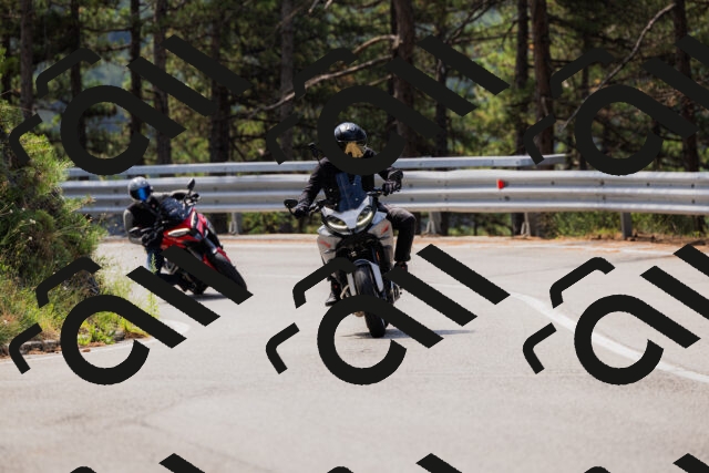 202508161120-_04A0624_c3