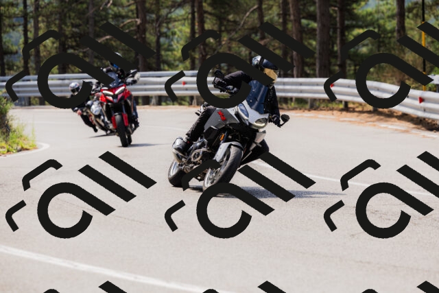 202508161120-_04A0626_c3