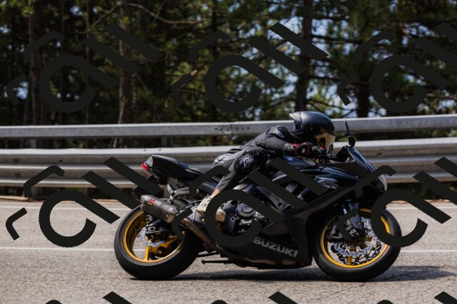 202508161120-_04A0632_c3