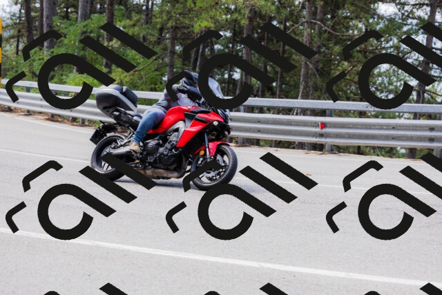 202508161121-_04A0633_c3