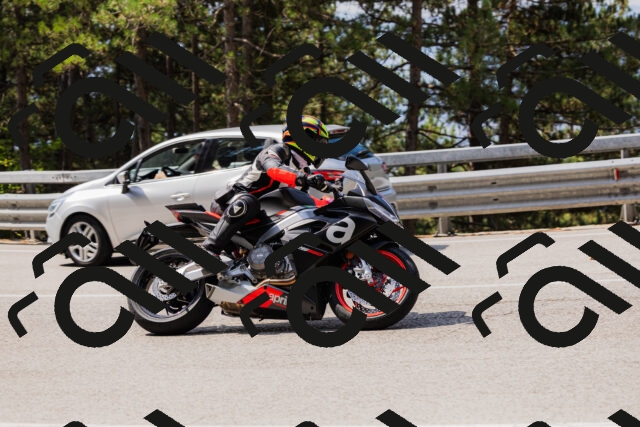 202508161124-_04A0637_c3