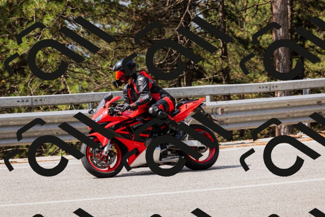 202508161124-_04A0639_c3