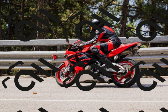 202508161124-_04A0640_c3