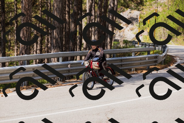 202508161125-_04A0644_c3