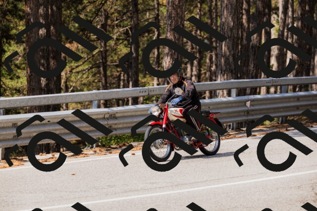 202508161125-_04A0645_c3