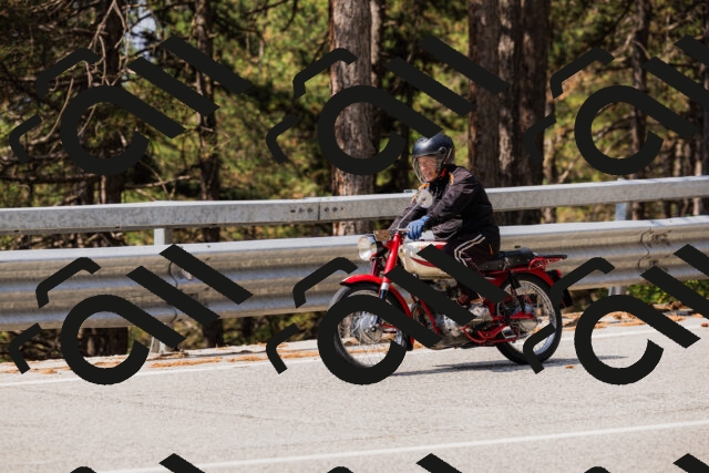 202508161125-_04A0646_c3