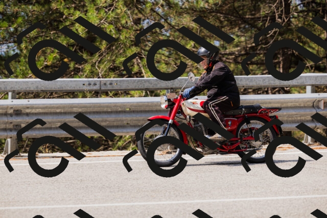 202508161125-_04A0647_c3