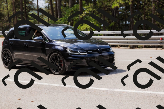 202508161125-_04A0648_c3