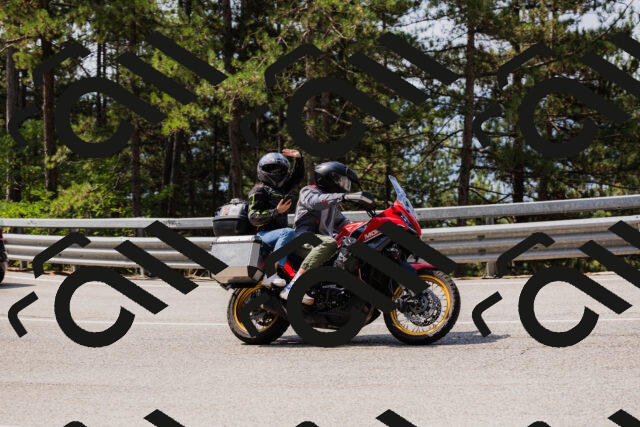 202508161125-_04A0651_c3