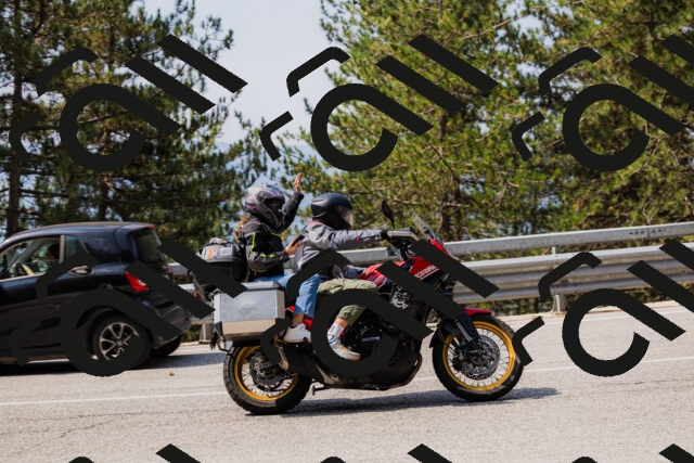 202508161125-_04A0652_c3