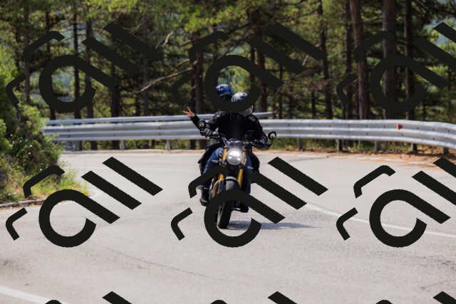 202508161125-_04A0655_c3