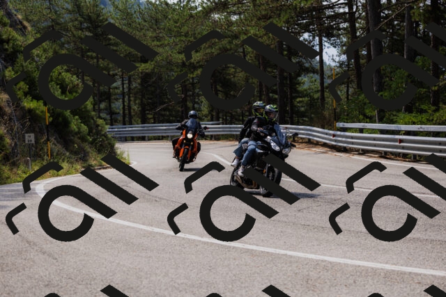 202508161125-_04A0658_c3