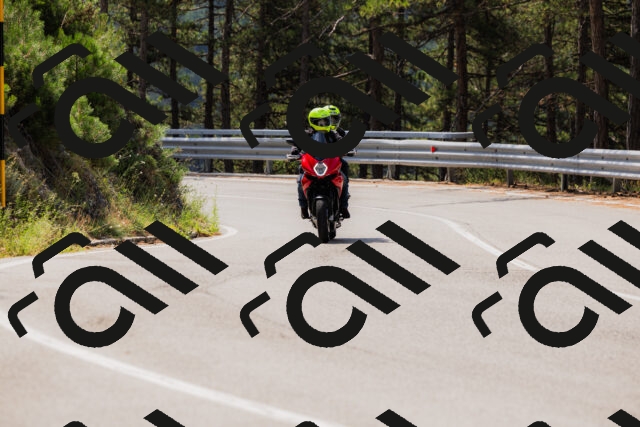 202508161126-_04A0661_c3