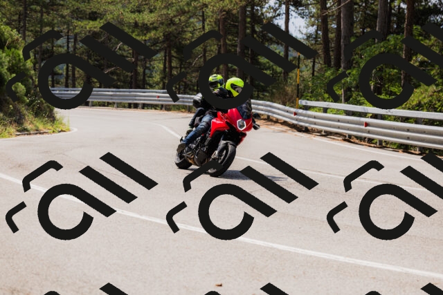 202508161126-_04A0662_c3