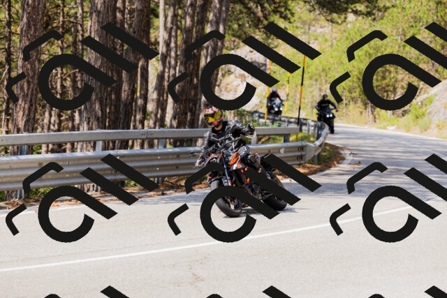 202508161129-_04A0666_c3