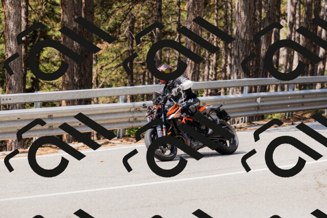 202508161129-_04A0667_c3