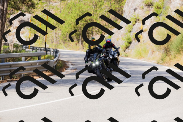 202508161129-_04A0668_c3