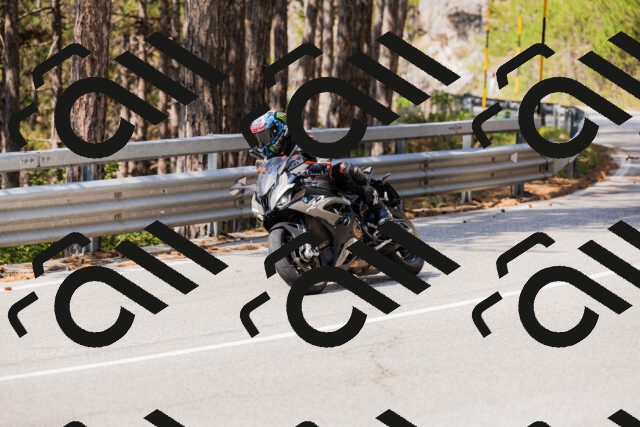 202508161129-_04A0670_c3