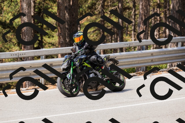 202508161129-_04A0671_c3