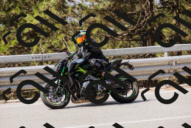 202508161129-_04A0672_c3