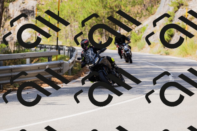 202508161129-_04A0673_c3