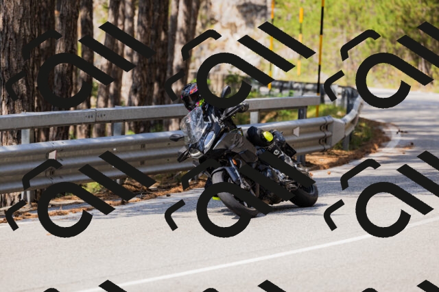 202508161129-_04A0674_c3