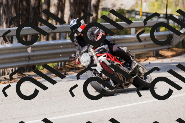 202508161129-_04A0675_c3